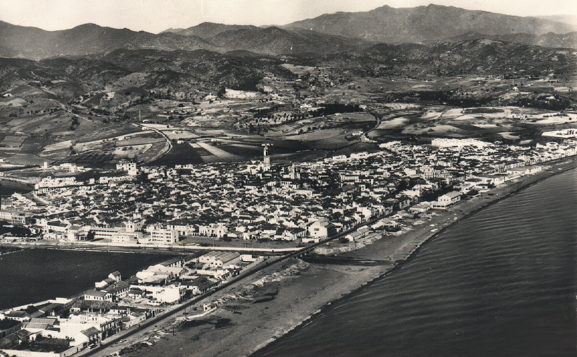 Palmiers et plage à Estepona
